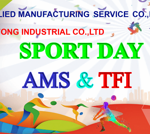 Sport day AMS TFI
